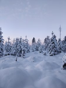 joulukortti-sähköinen-liiketoiminta-suomi-oy